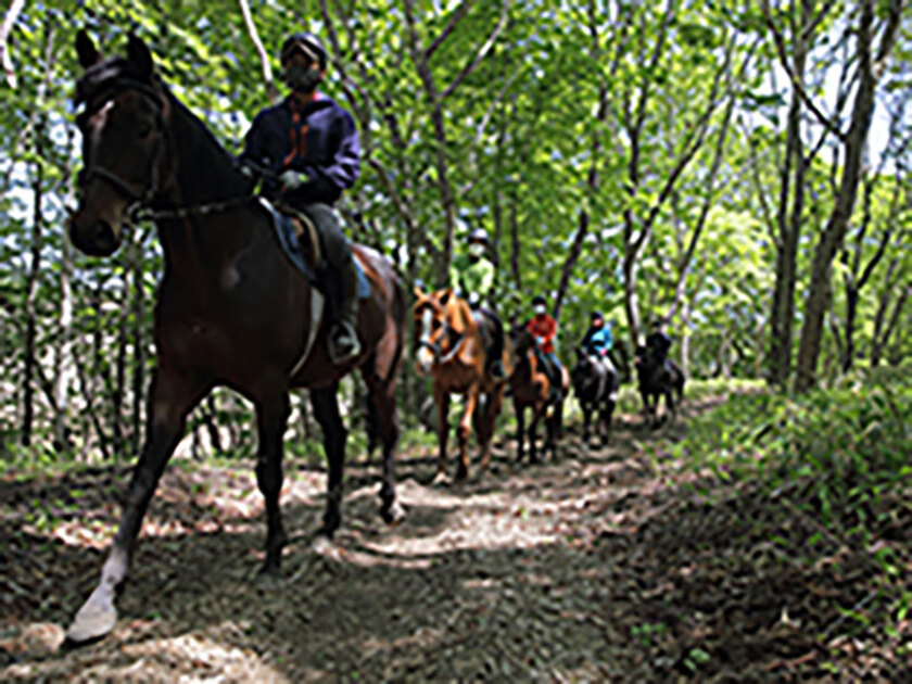 乗馬が初めてでも森をお馬と一緒に巡ることができる「体験林間コース」