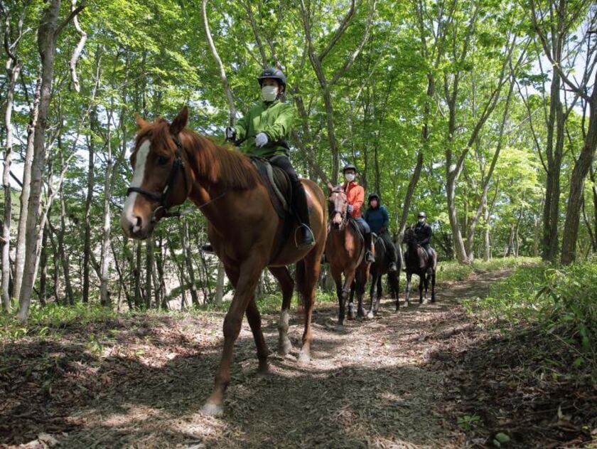 乗馬が初めてでも森をお馬と一緒に巡ることができる「体験林間コース」