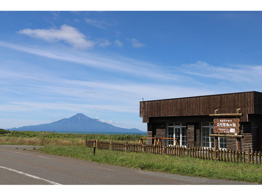 浜勇知原生花園にあり、利尻富士を眺めることができるスポット