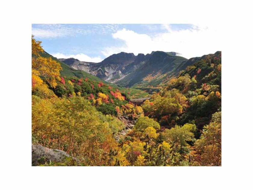 上富良野町・十勝岳温泉の秋を堪能しましょう！