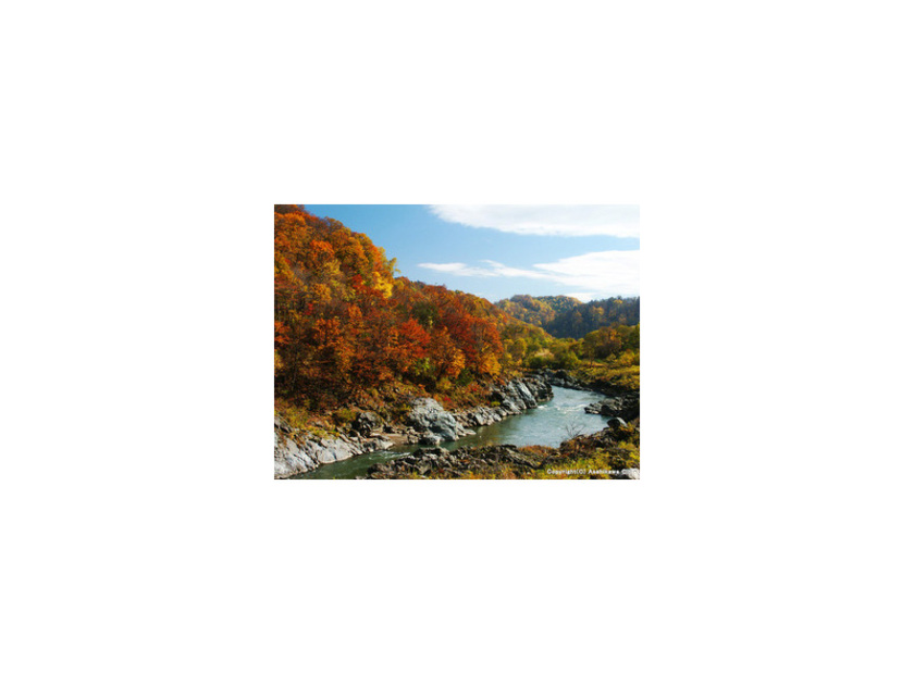 石狩川沿いを鮮やかに埋めつくす紅葉は絶景