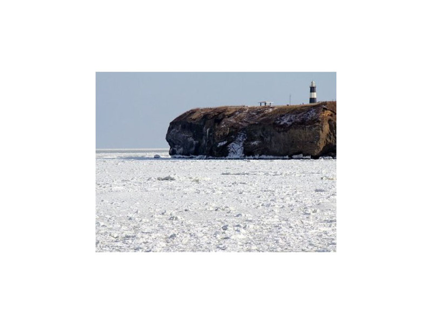 冬には流氷が接岸し、海全体を覆う様子を眺めることができます（網走市観光協会提供）