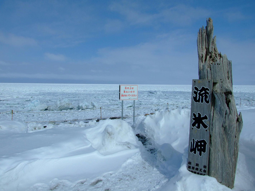 2月から3月にかけて流氷は海いっぱいを埋め尽くします