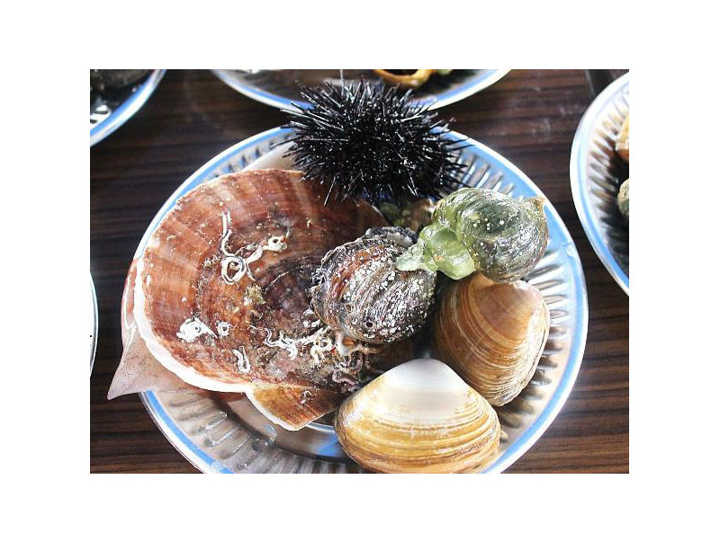 奥尻島の海産物が堪能できる「海の幸味ざんまい」