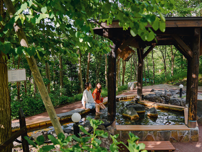 定山源泉公園は平成17年度「緑のデザイン賞」国土交通大臣賞受賞を受賞しました