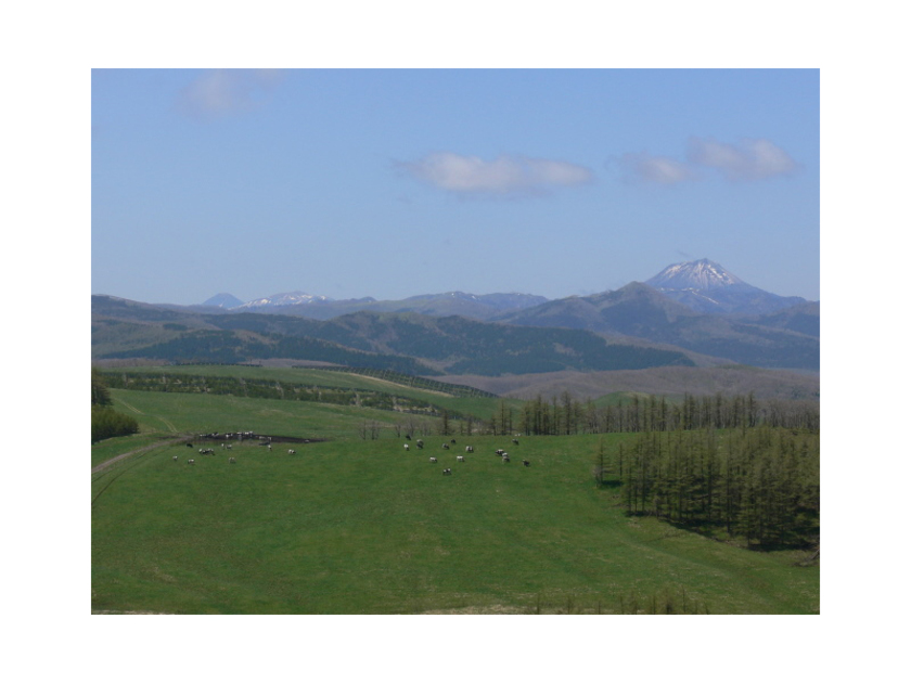 900草原からは摩周岳や硫黄山、晴れた日には雄阿寒岳や雌阿寒岳も見ることができます。北海道ならではの雄大な風景は圧巻