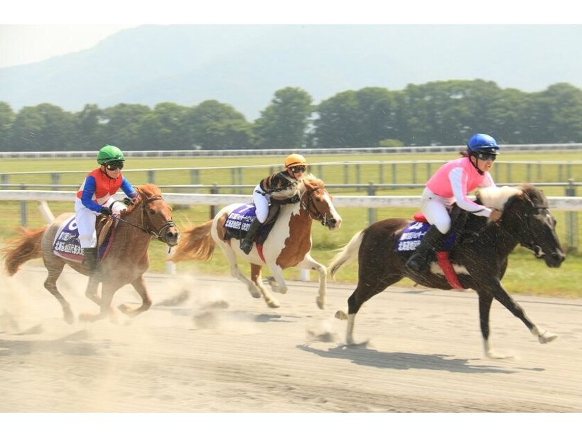 毎年東京で開かれる全国ポニー競馬選手権（ジョッキーベイビーズ）の北海道地区大会も行われます
