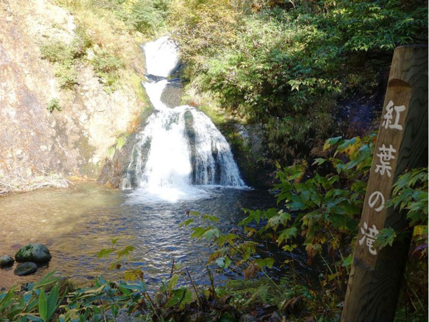 岩の間から出る水しぶきと、周りの広葉樹とのコントラストが絶景ポイントです