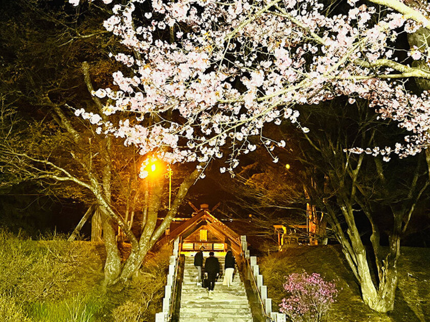 新得神社は桜の名所のひとつで、高台からの眺めは見晴らしも良い
