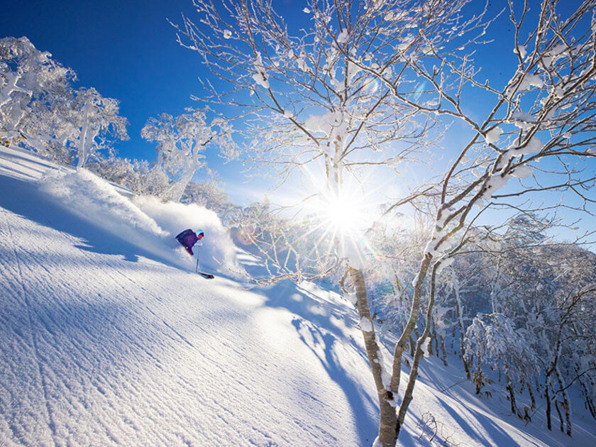 ばっふばふのパウダースノーは滑り心地抜群！
