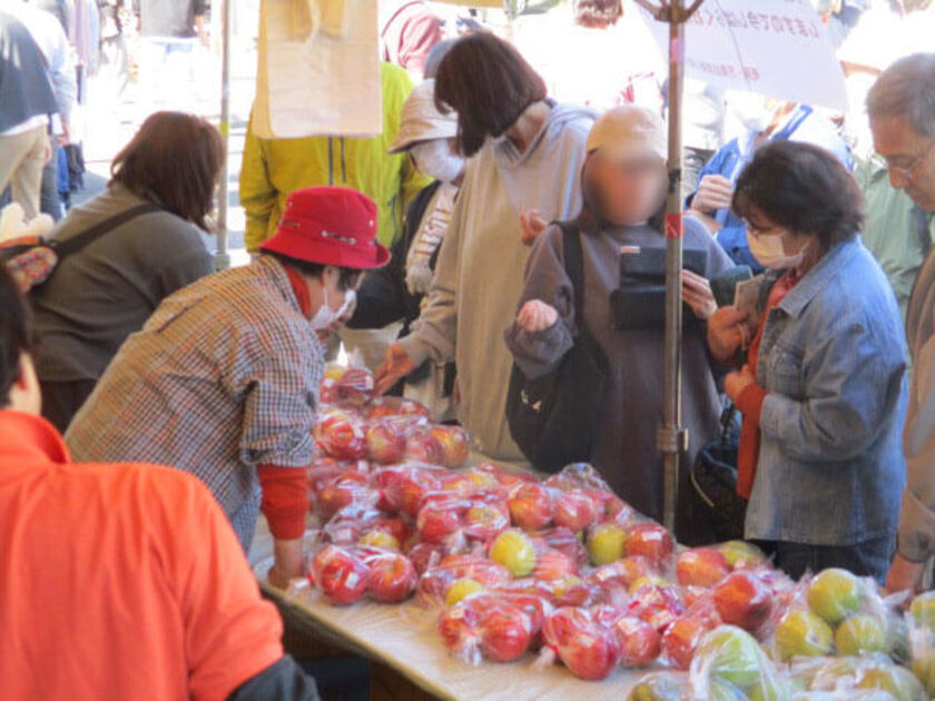 やはり主役は美味しくて新鮮な特産、りんごです！