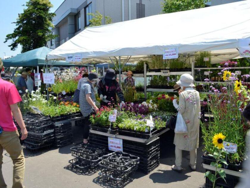 会場全体がたくさんのお花で彩られます（過去開催時の様子）