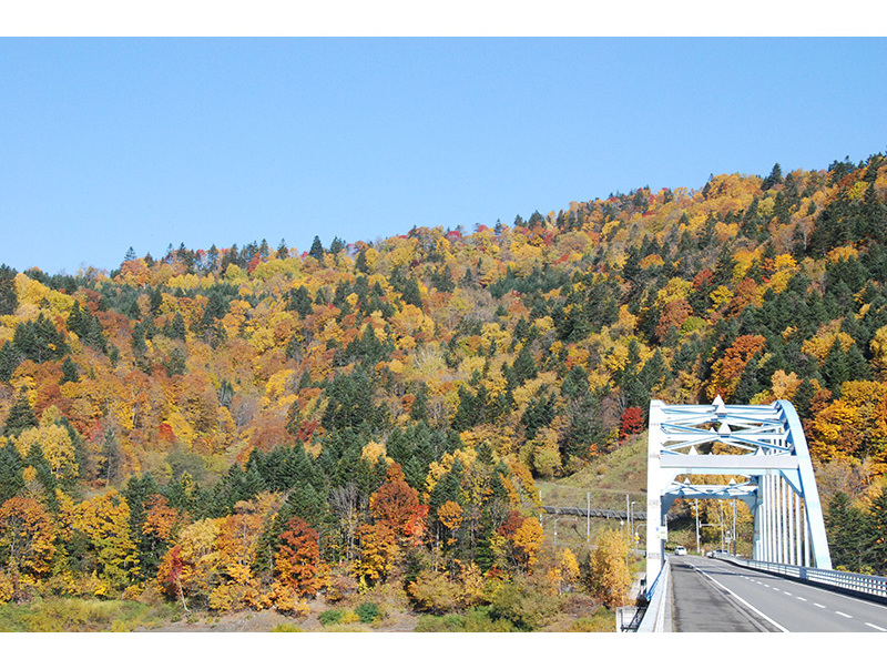 一面に広がる紅葉は一見の価値あり