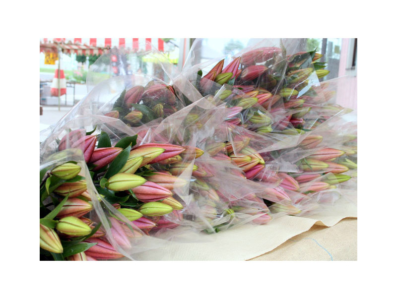 毎年、ユリの切り花を求める愛好家に人気です