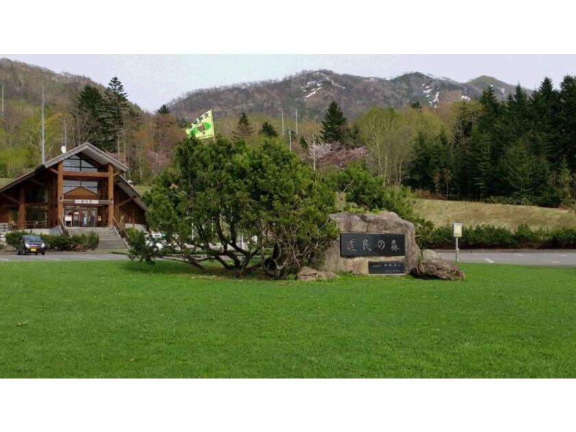 道民の森のなかでもとくに広い「神居尻地区」。水源の森やお花見の森など多彩な森を巡れる遊歩道も整備されている