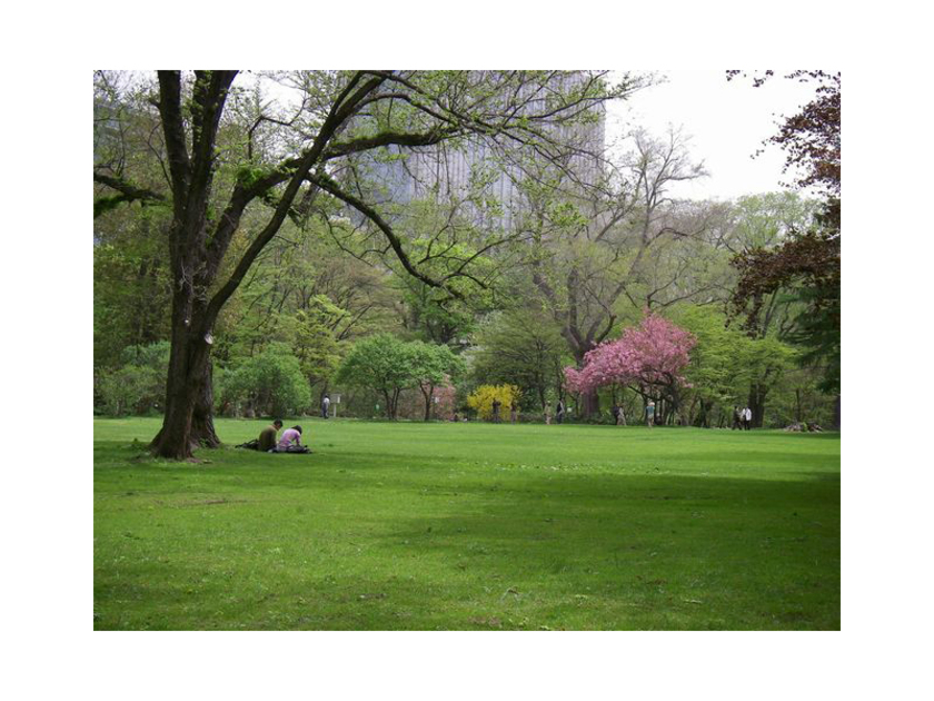 園内風景 春：街中にありながらゆったりと安らげる緑のオアシス