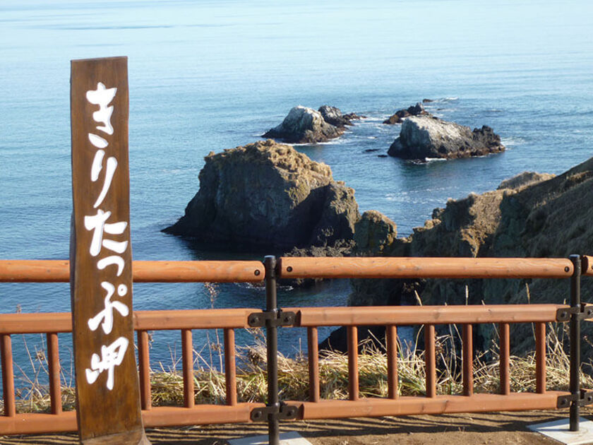 遊歩道を歩いて先端まで行くと、海に沈み込む岩礁に打ち寄せる波、荒々しい岬の表情が目の前に広がります