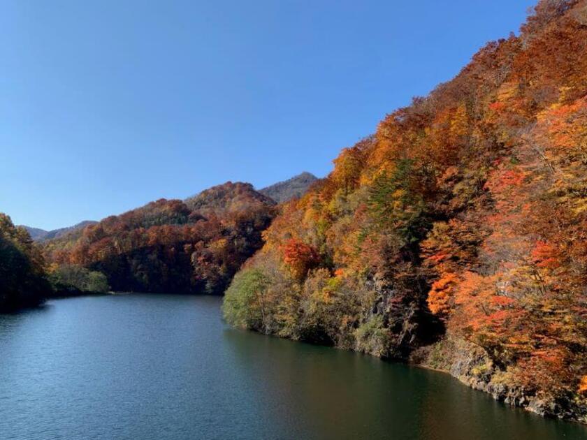 渓谷の深い青色と見事な紅葉のコントラストが美しい