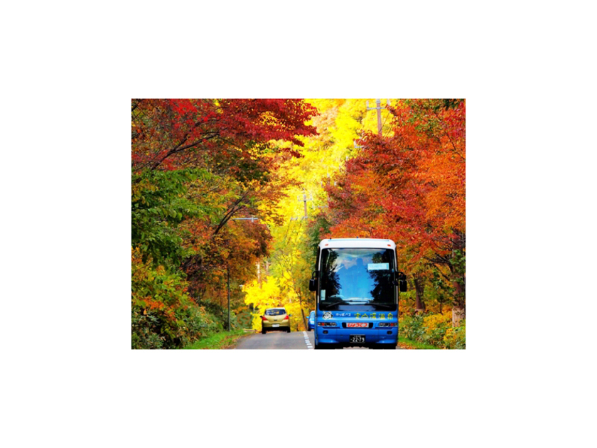美しい紅葉が楽しめる魅力いっぱいのバスツアーです。