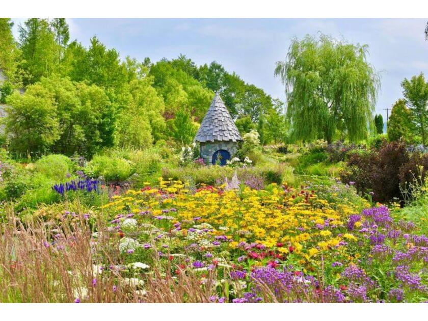 庭の植物は、季節折々で開花する宿根草が中心です。庭にはいくつかのテーマガーデンがありそれぞれ散策が楽しめます