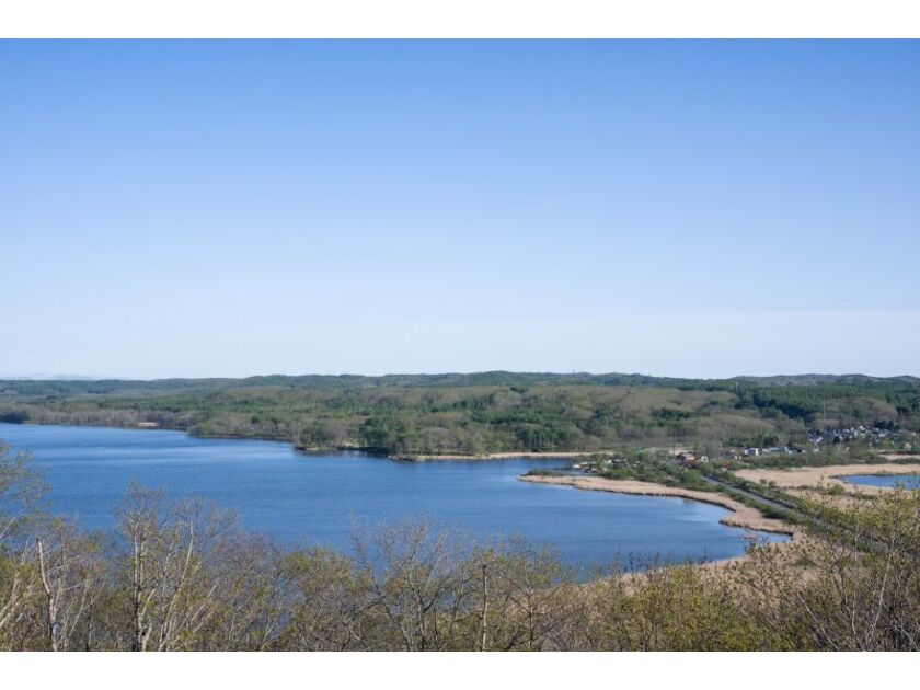 のどかな風景が見渡せるサルボ展望台。右側はエオルト沼、左側はオジロワシやアオサギが訪れることでも知られる塘路湖