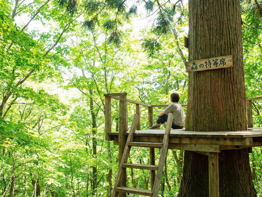 のんびり森林浴を楽しんで