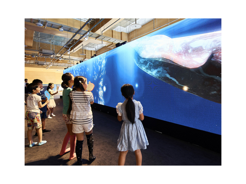 高精細LEDディスプレイ「メディアウォール」は縦2.4m×横14.4m。壁いっぱいの巨大な映像を体験できます