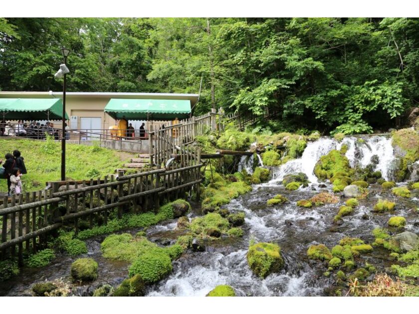 羊蹄山に降った雨や雪が、数十年の歳月をかけて地下深く浸透しミネラルをたっぷり含んだ美味しい水が湧き出ています