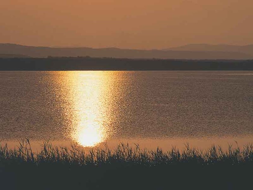 多くの野鳥を見ることができる美しいコムケ湖。湖内ではカキやアサリなどの養殖が行われています