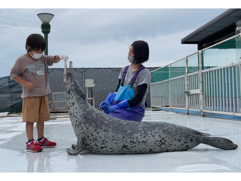 お子様に大人気！えさやり体験です
