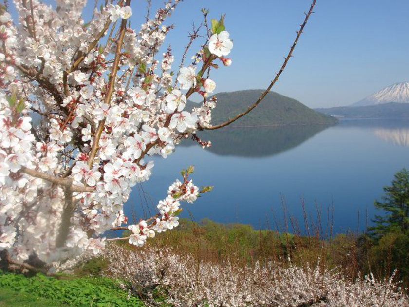 天気がよければニセコ連峰までも展望できます