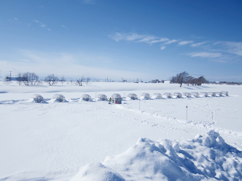 新篠津村しのつ湖の冬の風物詩「氷上わかさぎ釣り」。札幌近郊のわかさぎ釣りの人気スポットとして毎年多くの方でにぎわいます。