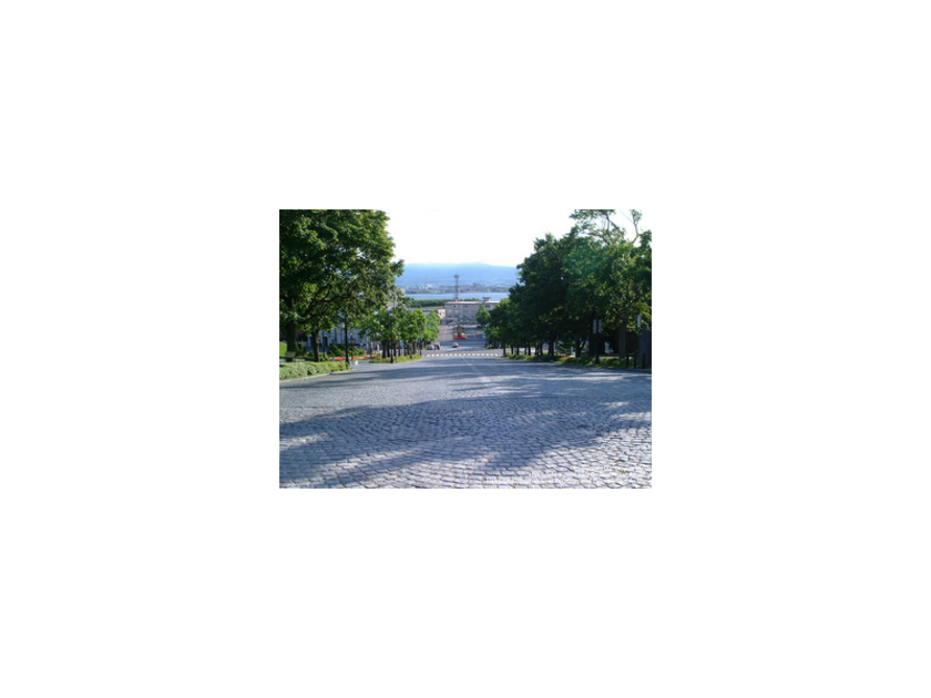 道づくりの基点となった基坂。坂の上にある元町公園からの眺めも綺麗ですが、函館山をバックに公会堂を見上げるのもおすすめ