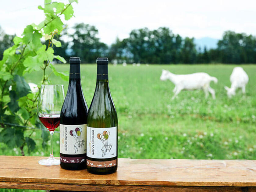 ドメーヌレゾンのワインは、酸味の生きた爽やかな味わい