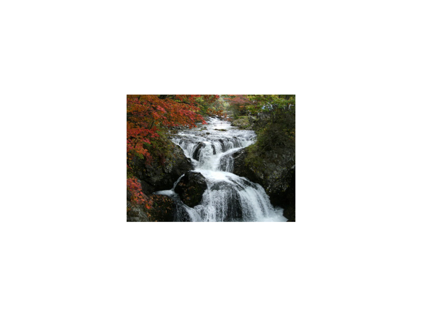 大迫力で迫る滝の水しぶきと鮮やかな紅葉のコントラストは圧巻。自然の力強さと神秘さを体感できます