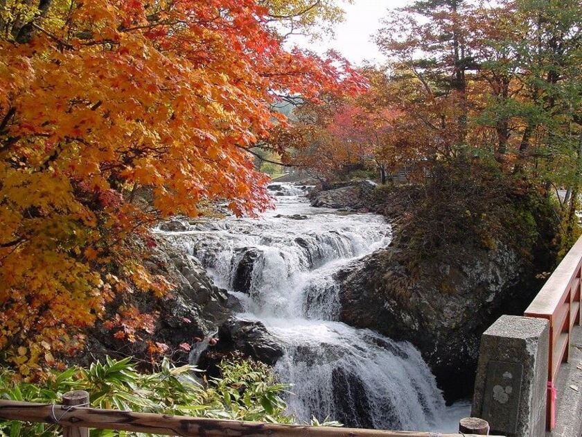 大迫力で迫る滝の水しぶきと鮮やかな紅葉のコントラストは圧巻。自然の力強さと神秘さを体感できます