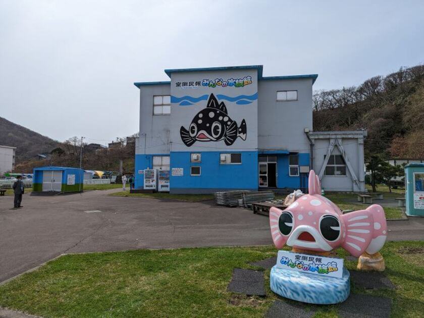 昭和28年に開館、北海道最古の水族館です