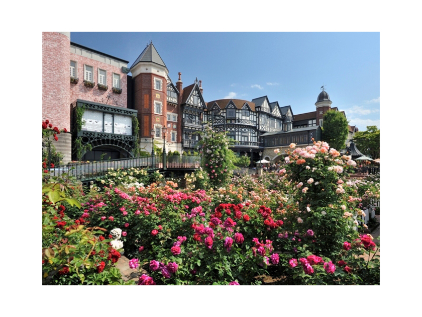 白い恋人パークの中庭はレンガが敷き詰められた英国風の庭。クラシックローズなどの花々や噴水、ガリバーハウスが出迎えます