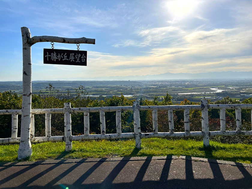 シラカバ模様の柵ごしに十勝平野を望む十勝が丘展望台。正面右手に帯広市街方面を、左に目をやれば池田や豊頃方面が一望できます