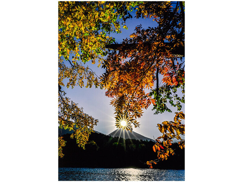 阿寒富士の頂上から射しこむダイヤモンドのような朝陽と木々の紅葉が重なる一瞬（画像提供：NPO法人あしょろ観光協会）