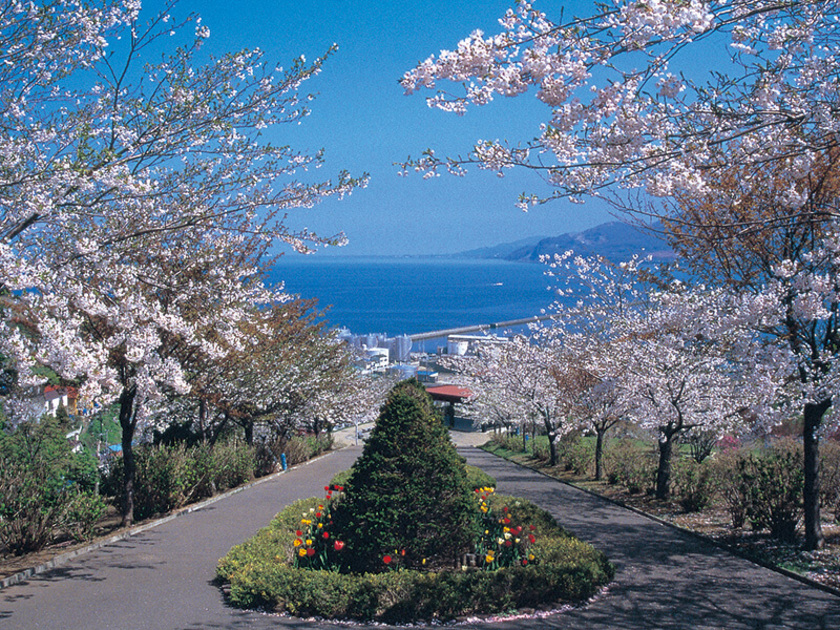 小樽市内の高台にあるので気軽に季節と風景を楽しむことができる公園です