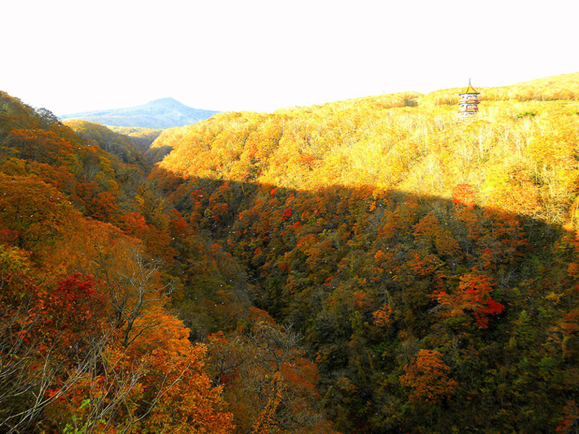 ツツジ、ウルシ、モミジが密生する渓谷の紅葉は、例年だと9月下旬から色づき始め、10月上旬から中旬にかけてピークを迎えます