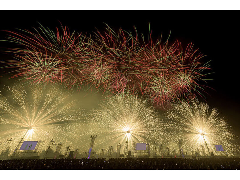観客席から花火までの距離が近いことも、この大会の魅力のひとつ