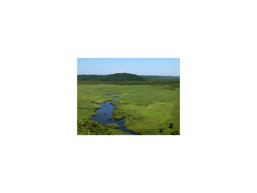 季節によって、それぞれ違った湿原の風景を楽しめます。コッタロ湿原展望台は標高96mの高台にあり湿原を一望できます