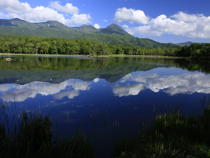 晴れた日には湖面に映り込む青空と知床連山が見られる知床五湖