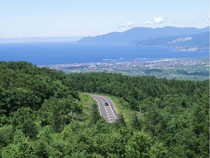 緑鮮やかな夏、岩内港を見下ろしながら下る峠道。夜は星空と街の灯りがきらめく夜景が綺麗です！